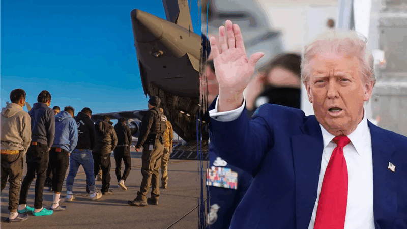 EXCLUSIVE: Trump admin expected to shatter all-time deportation record