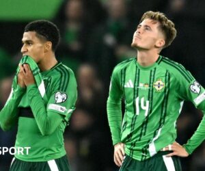 Northern Ireland 0-1 Germany: Northern Ireland down but not out after ‘sore’ defeat
