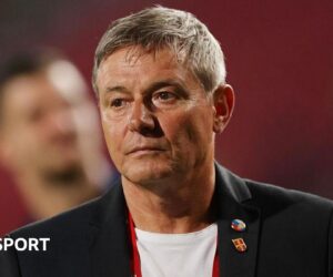 Dragan Stojkovic: Serbia coach resigns immediately after Albania defeat
