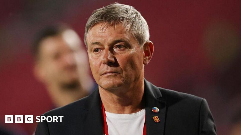 Dragan Stojkovic: Serbia coach resigns immediately after Albania defeat