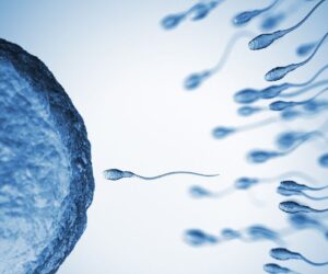 Sperm From Older Men Have More Genetic Mutations