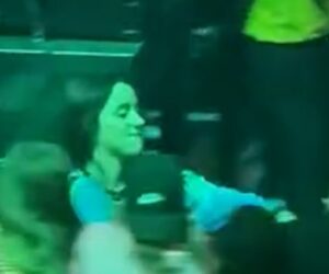 Billie Eilish violently pulled into crowd at concert