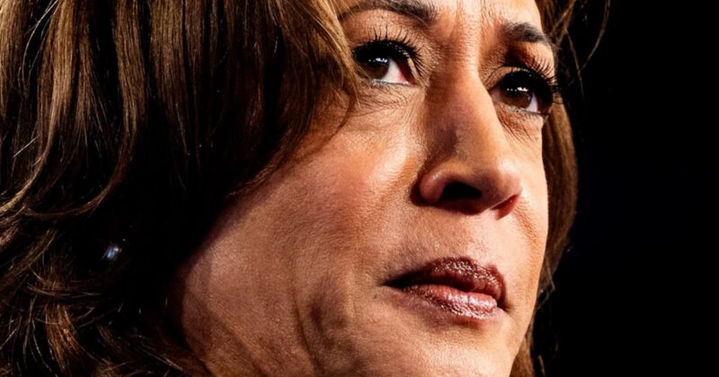 Harris talks her political future