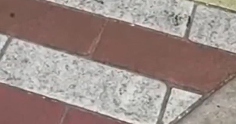 Rainbow brick crosswalk removed in Miami Beach