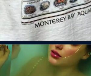 Swifties raise $2 million for Monterey Bay Aquarium