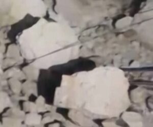 At least 20 people killed in Philippines earthquake