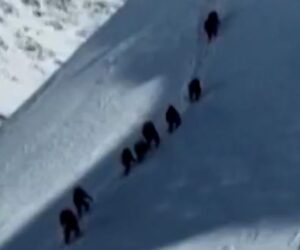 Blizzard traps hundreds of hikers on Mount Everest