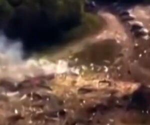 Tennessee plant explosion leaves no survivors