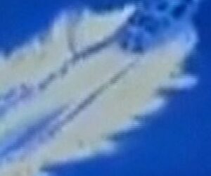 U.S. strikes alleged Venezuelan drug smuggling boat
