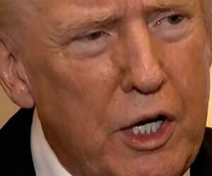Trump says Gaza ceasefire remains after Israeli strikes