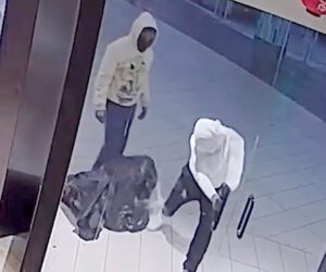 Police seek 2 suspects caught on camera ransacking Florida mall store