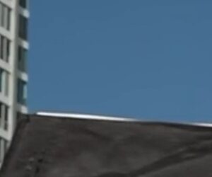 Crowds cheer for helicopters carrying freed hostages
