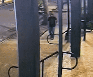 Texas girl escapes attempted abduction by biting masked attacker twice