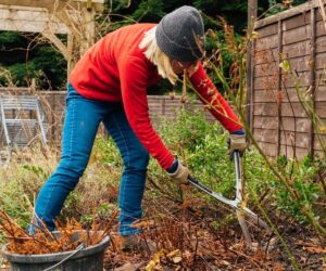 Prep your garden for winter with these must-haves