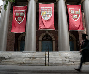 Harvard dean called Whiteness ‘self-destructive’ in social posts