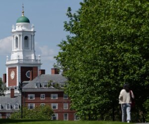 Harvard students skip class but get high grades due to grade inflation