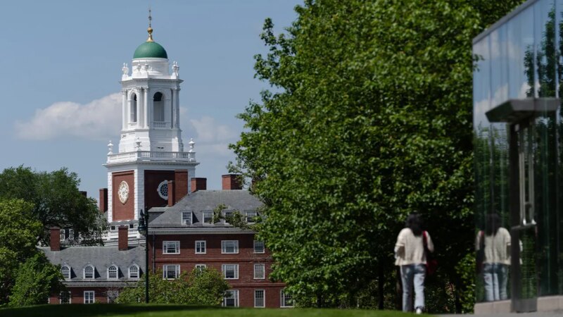 Harvard students skip class but get high grades due to grade inflation