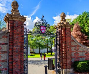 Harvard students describe ‘hostile’ campus environment for conservatives
