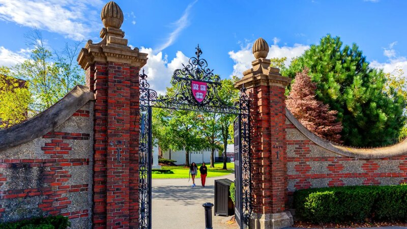 Harvard students describe ‘hostile’ campus environment for conservatives