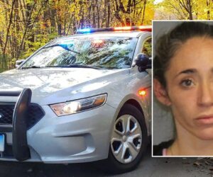 Connecticut mom poisoned husband with antifreeze amid custody fight: Officials