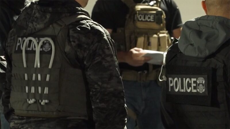 Teen arrested by ICE posed ‘public safety threat’ contrary to reporting, says DHS