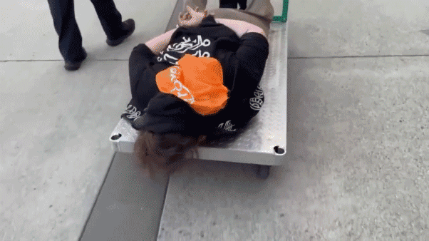 ICE posts viral video of suspect on cart set to Chamillionaire song