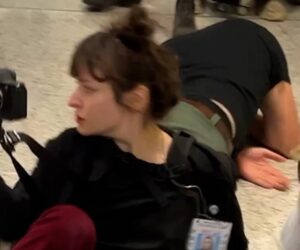 Journalist hospitalized after shove from ICE in NYC