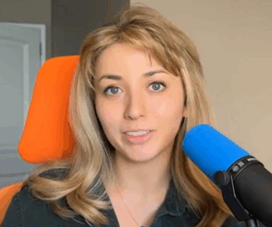 Progressive House candidate indicted amid Chicago-area ICE protests