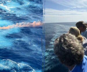 Search underway for Viking cruise crew member overboard in Mediterranean Sea
