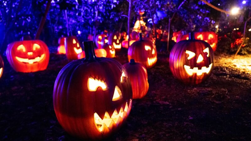 Author’s new book aims to reclaim Halloween’s true spiritual meaning