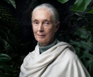 Jane Goodall’s Message of Hope Lives On