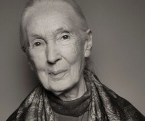 Global Activists, Celebrities, Politicians Pay Tribute to Jane Goodall