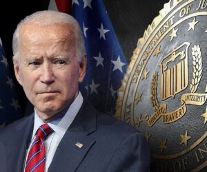 Grassley unveils 197 subpoenas from Biden-era Arctic Frost operation