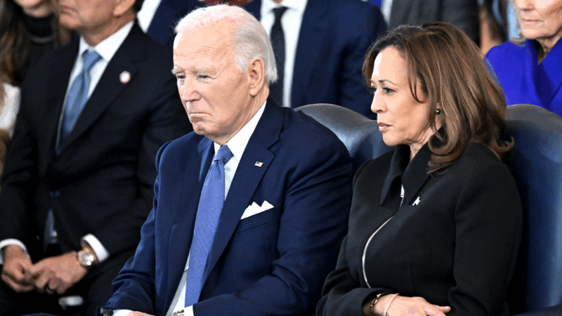Harris says Biden ‘didn’t want’ to debate Trump in 2024 presidential election
