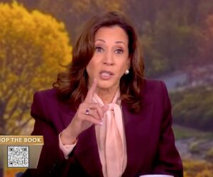Many Black voters abandoned Kamala Harris as Trump almost doubled support to 15%