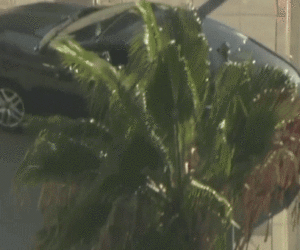 Driver barricades himself in car outside Los Angeles City Hall prompting evacuation