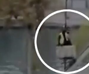 New video appears to show Louvre thieves escaping heist