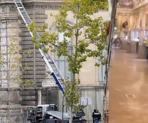 Brazen daylight robbery at Louvre purportedly captured on video