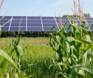 Blocking fossil fuels keeps developing nations poor — and pushes migrants west
