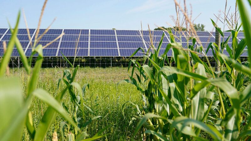Blocking fossil fuels keeps developing nations poor — and pushes migrants west