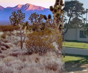 Cremated human remains found dumped in Nevada desert recovered, sparks probe