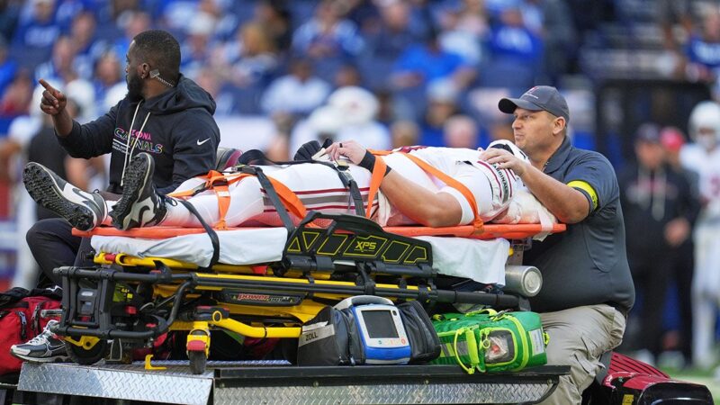 Cardinals’ Travis Vokolek leaves field on backboard after neck injury
