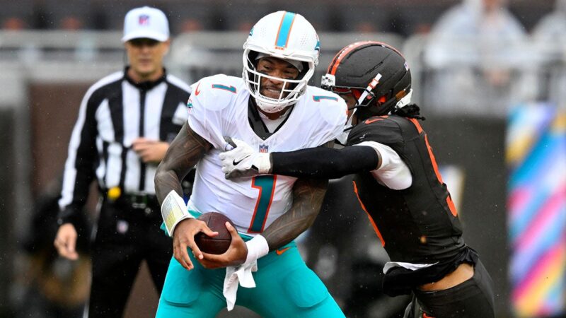 Dolphins face criticism from Bill Cowher