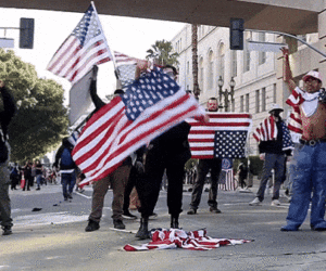 Crowd-hire CEO warns America’s protest culture exploited by paid agitators