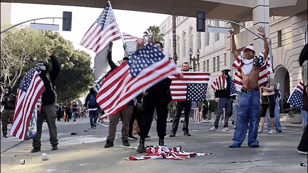 Crowd-hire CEO warns America’s protest culture exploited by paid agitators