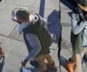 NYC man with 45 arrests charged in fatal hit-and-run of cancer survivor