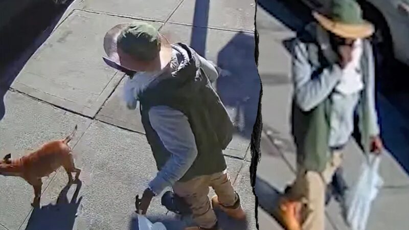 NYC man with 45 arrests charged in fatal hit-and-run of cancer survivor