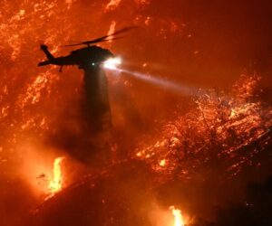 What to Know About the Man Arrested for the Palisades Fire