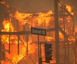 Palisades fire arrest shows Newsom and Bass put politics over public safety