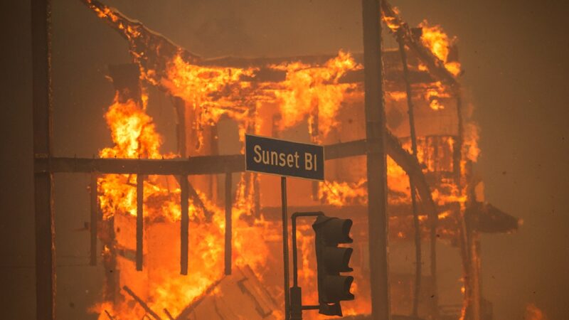 Palisades fire arrest shows Newsom and Bass put politics over public safety
